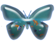 papillon_aquarium
