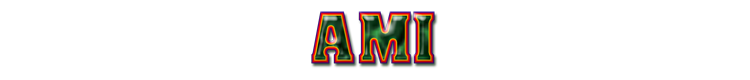 14_ami